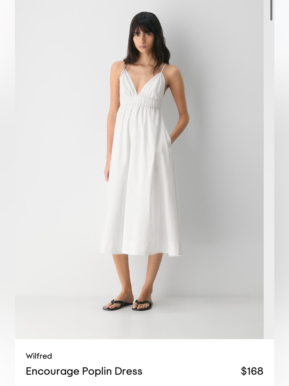 Aritzia Encourage Poplin Dress